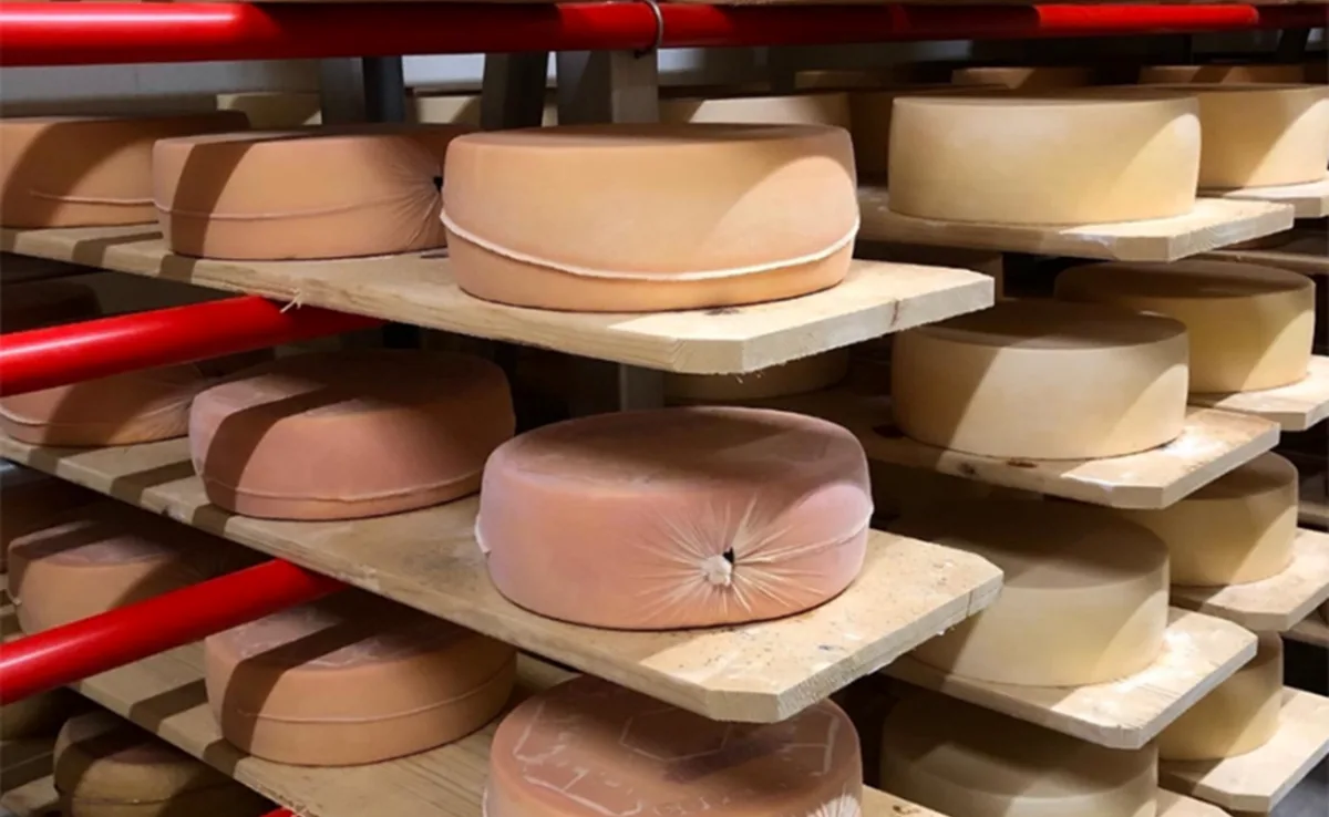 eingepackter_kaese_agroscope Im Strumpf gereifter Käse steht jetzt unter Patentschutz