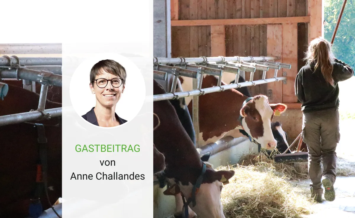Artikel_Gastbeitrag_BauZ_ChallandesFrauen Bäuerinnen und Landfrauen sagen Ja zur Rentenreform