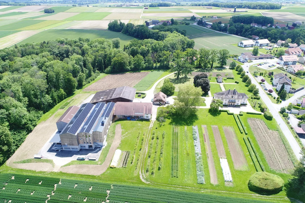 DJI_0070 «Der Pflanzenbau lechzt förmlich nach besser angepassten Sorten»