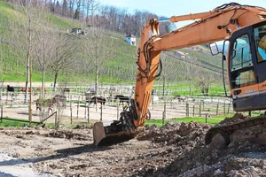Nur landwirtschaftliche Gewerbe ab 1 SAK dürfen neue Bauten und Anlagen für die Pferdehaltung erstellen.