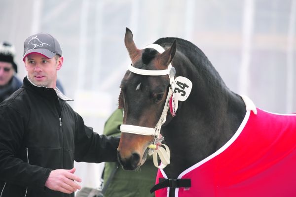 Envol galt bereits im Vorfeld als Favorit. (Bild kr)