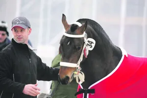 Envol galt bereits im Vorfeld als Favorit. (Bild kr)