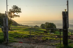 Ein allzu idyllischer Blick aufs Leben kann trügen. Gerade selbstständigerwerbe Frauen und Männer brauchen auch einen sachlichen Blick auf Gegenwart und Zukunft.