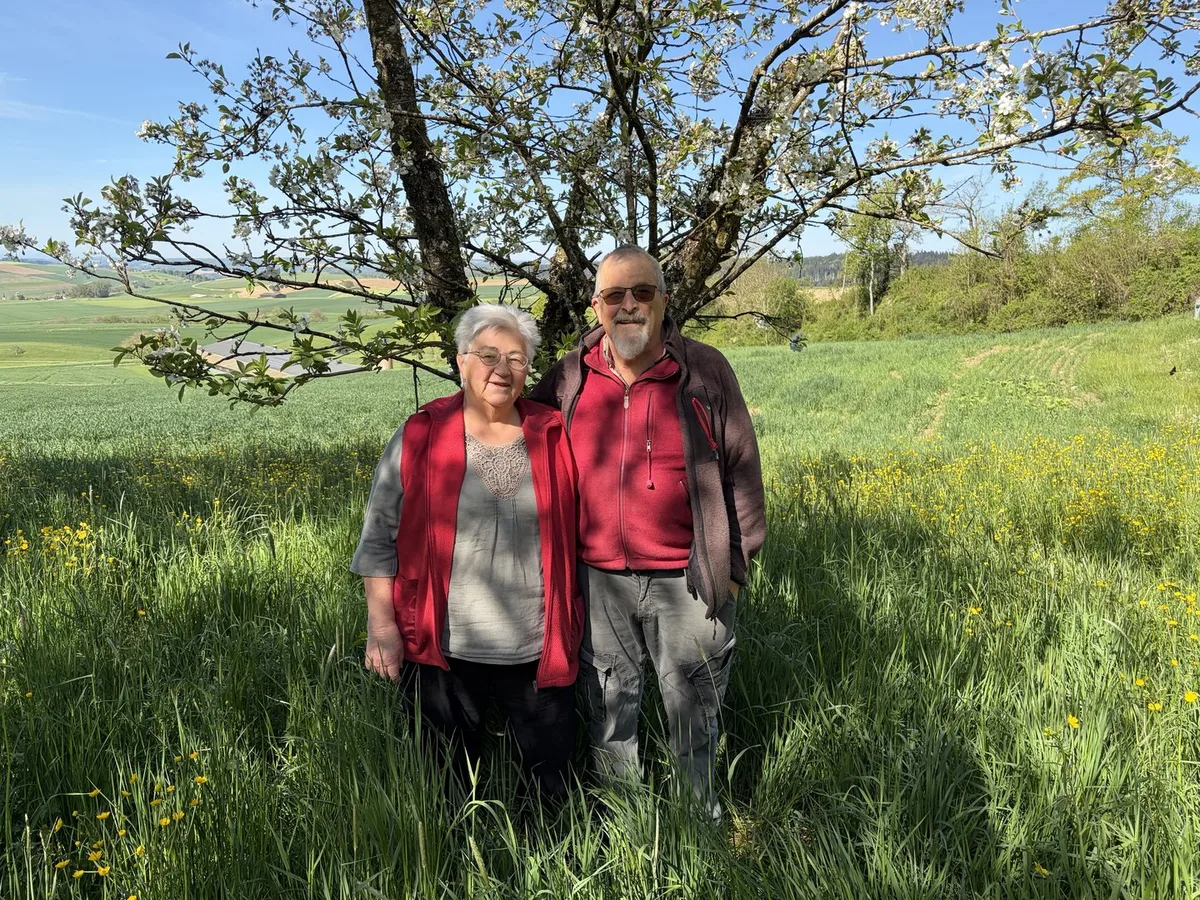 Obstsorte 2026: Margrith Vogelsanger bereichert ihre Schwarzwäldertorte mit «Hallauer Aemli»