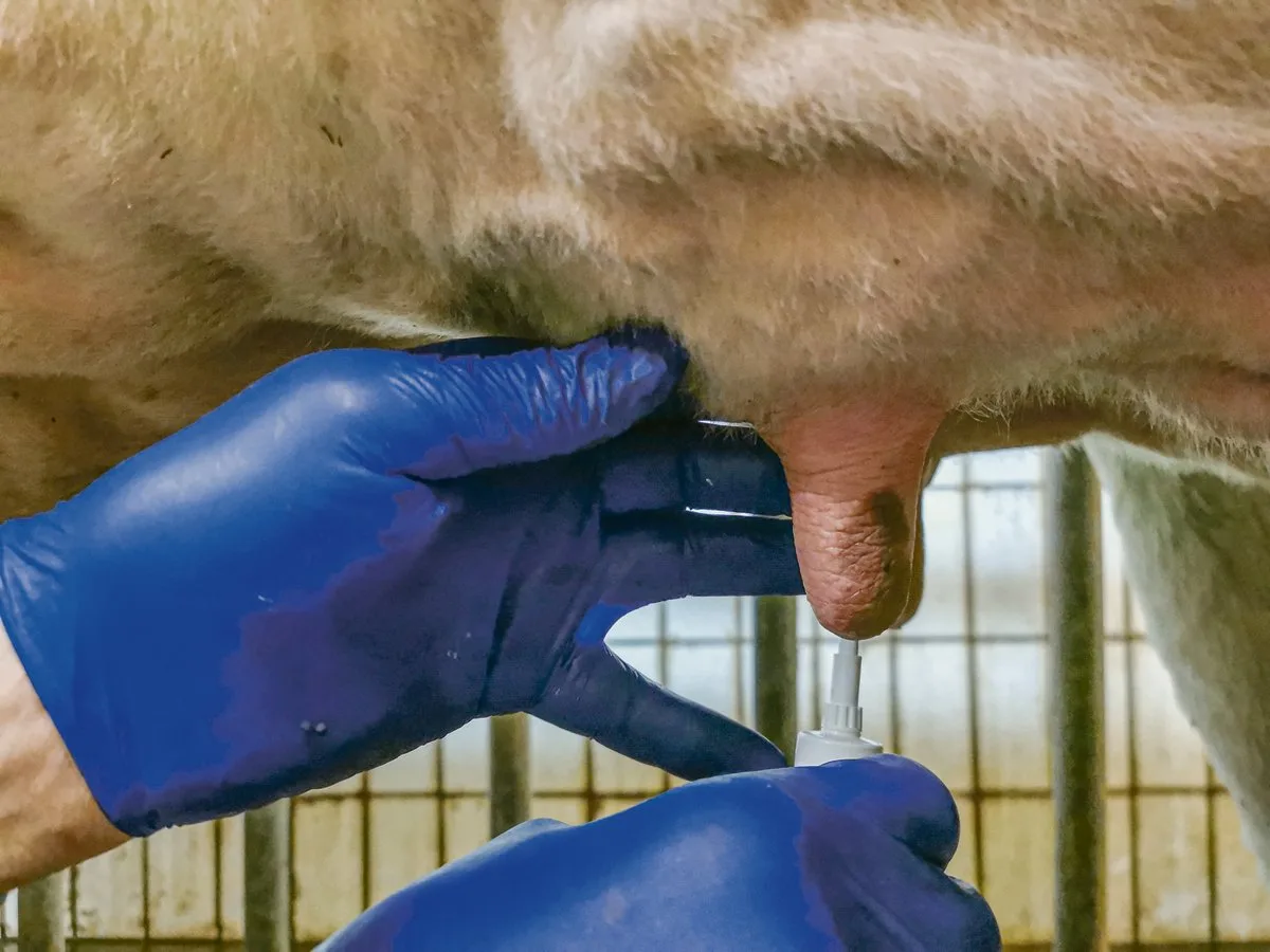 5abbc715fa1c75967179c959b4db7d2c034fcba7 Wer illegal importierte oder verbotene Tierarzneimittel verabreicht, wird dies kaum im Behandlungsjournal vermerken. Das gefährde die Lebensmittelsicherheit, sagt Reto Wyss.(Bild sb)