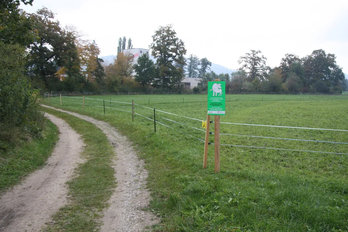 Infotafeln an den Weidezäunen können Unfälle mit Rinderherden und unwissenden Besuchern verhindern. (Bild BUL)