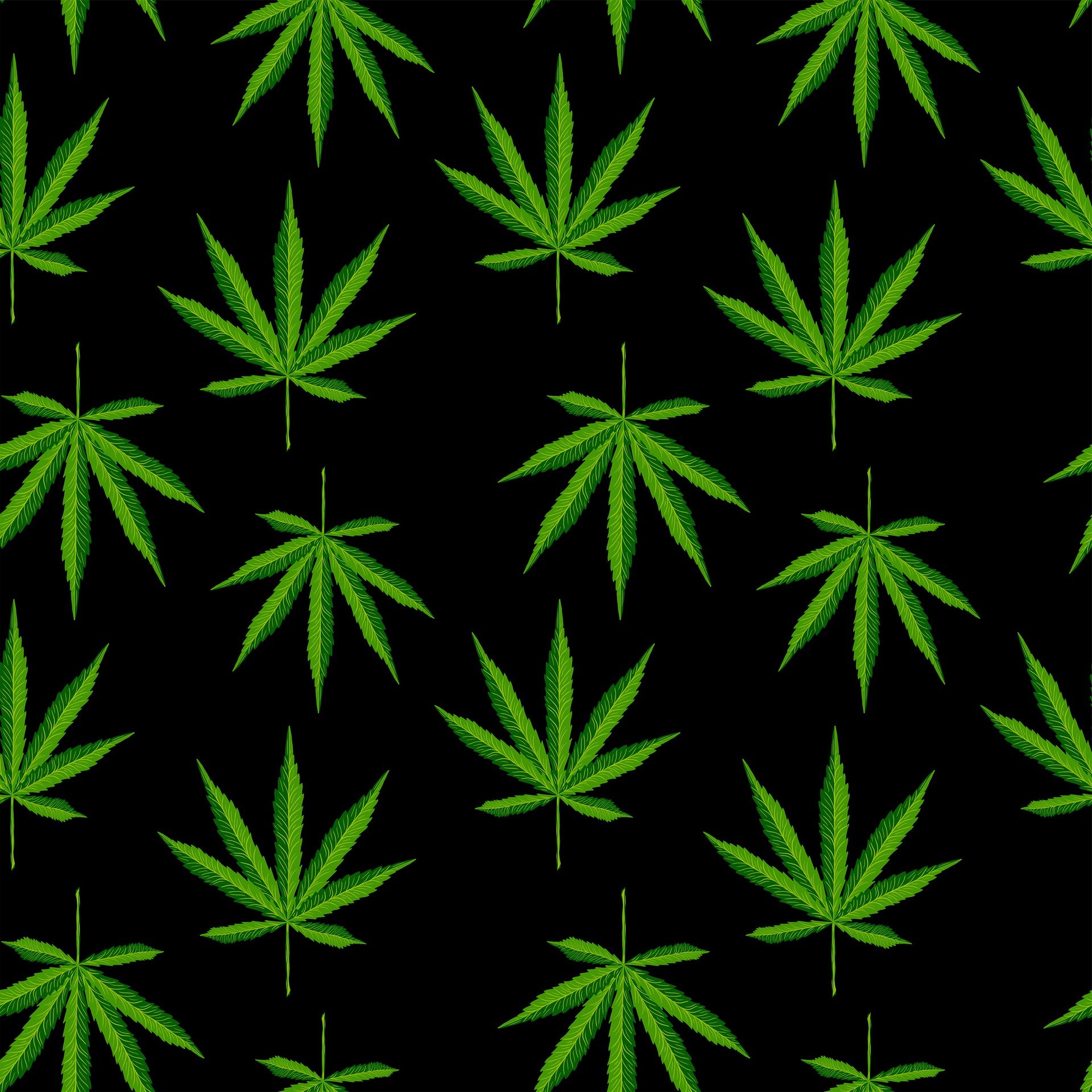 Bund gibt grünes Licht für Stadtzürcher Cannabis-Projekt