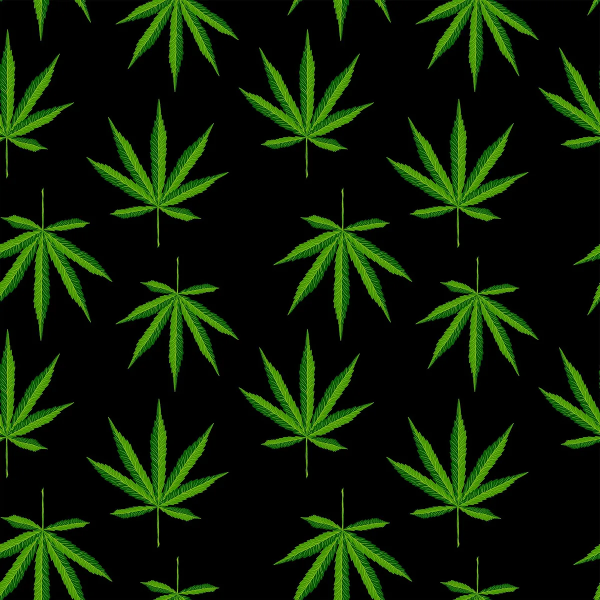 Bund gibt grünes Licht für Stadtzürcher Cannabis-Projekt