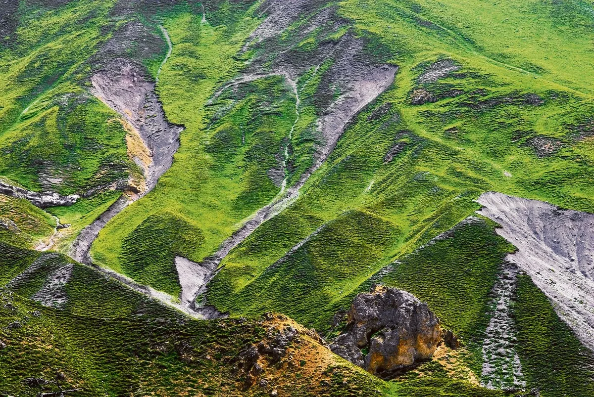 f88854b352159ec72d65af1fb988508aefea8841aceb4731721e7b8c12aca9cb Ohne Beweidung: Erosion in Hängen des Schweizer Nationalparks.