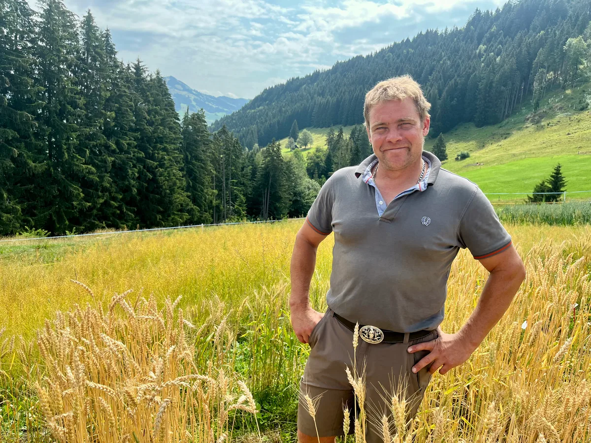 IMG_2785.jpeg Die Ackerkulturen entwickeln sich gut, auf den hoch gelegenen Flächen von Landwirt Peter Gätzi.
