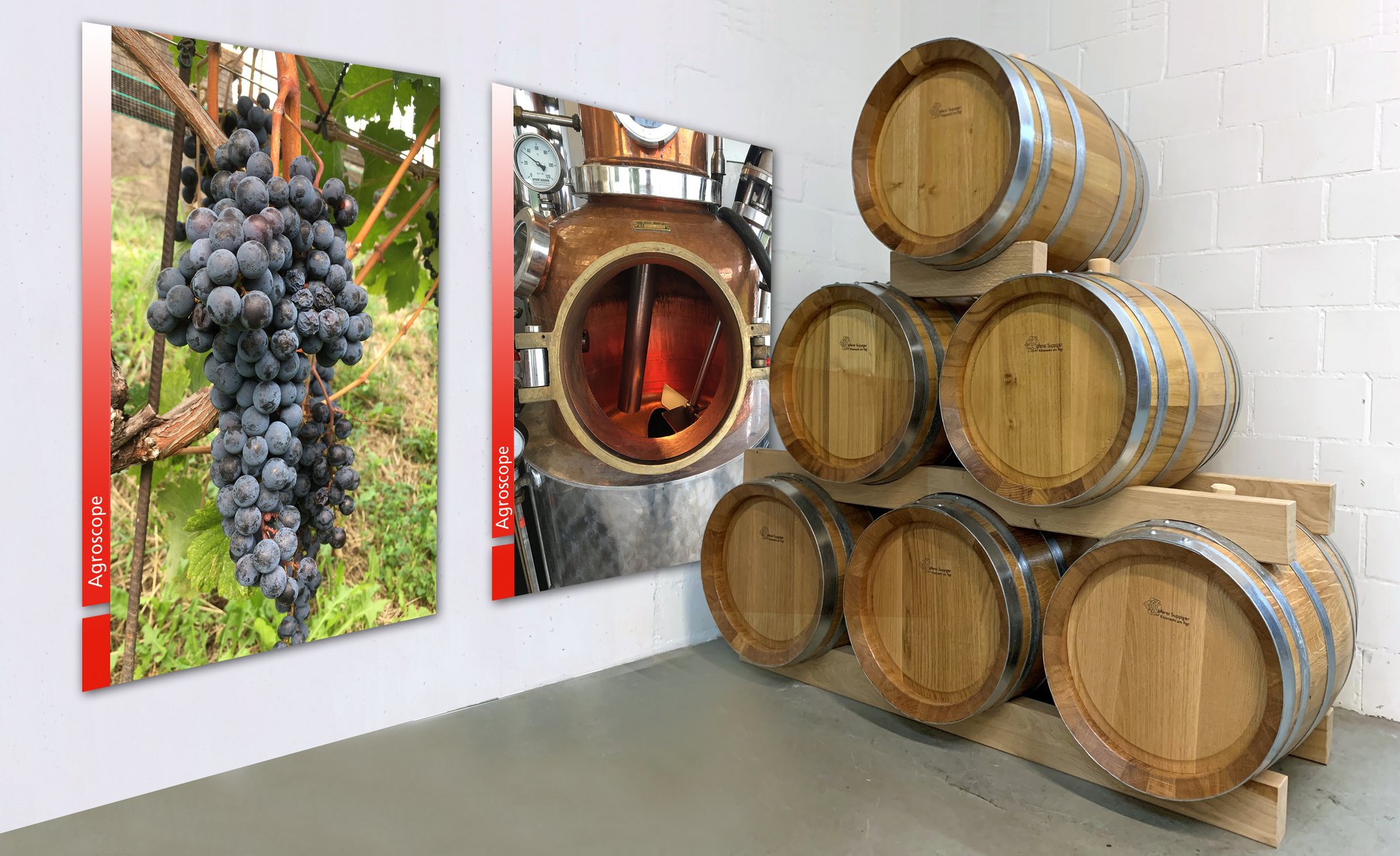 In Tessiner und Südbündner Robinien-Holz ausgebauter Grappa von Merlot-Traubentrester stösst bei den regionalen Produzenten auf Interesse.
