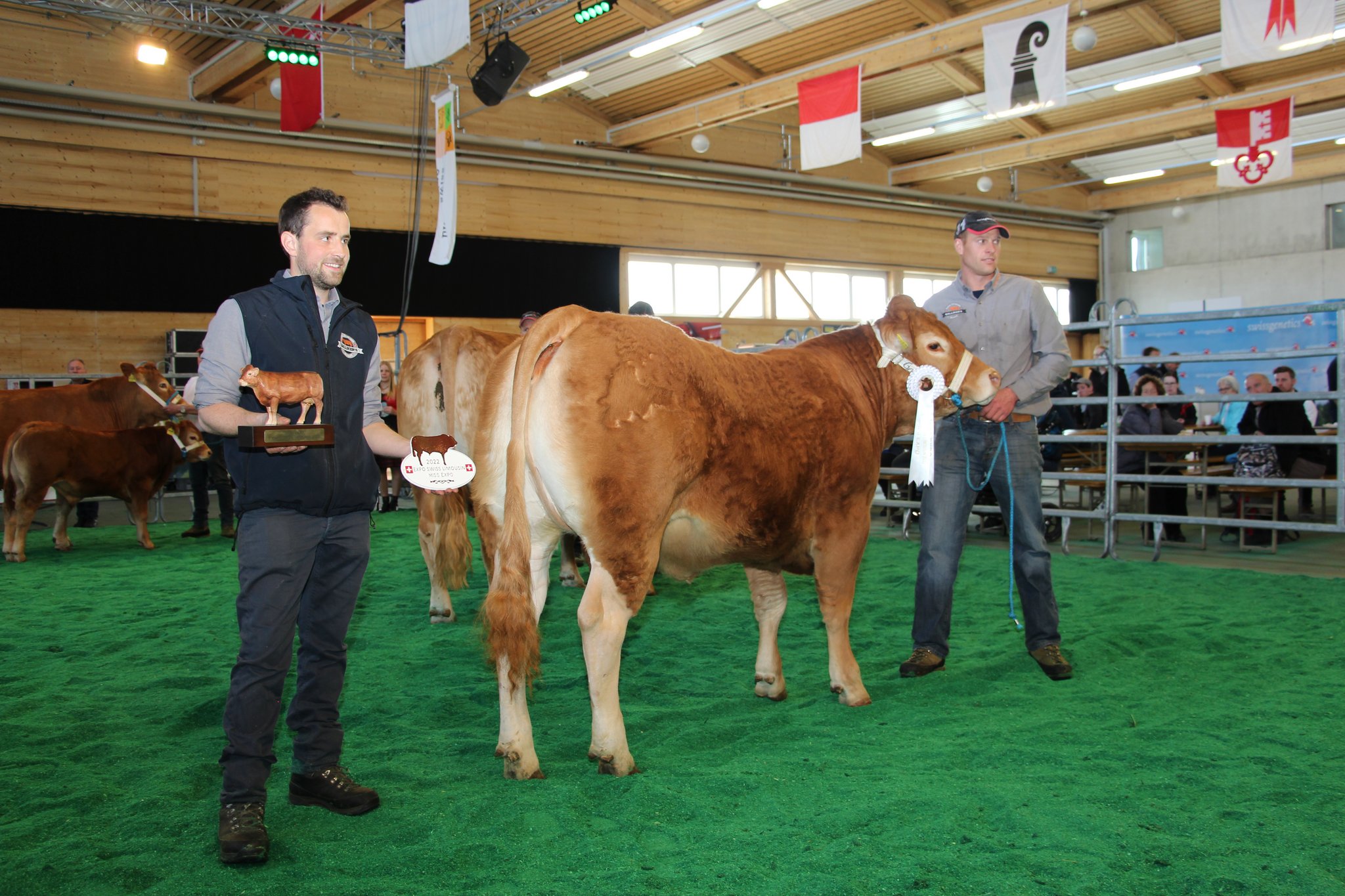 Die Miss der ersten Expo Swiss Limousin heisst Helena