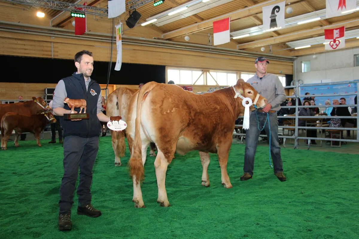 Die Miss der ersten Expo Swiss Limousin heisst Helena