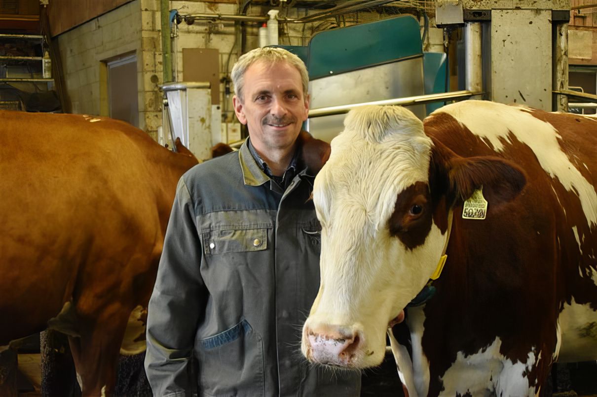Eine Milchproduktion ganz ohne Antibiotika - Der Verzicht funktioniert