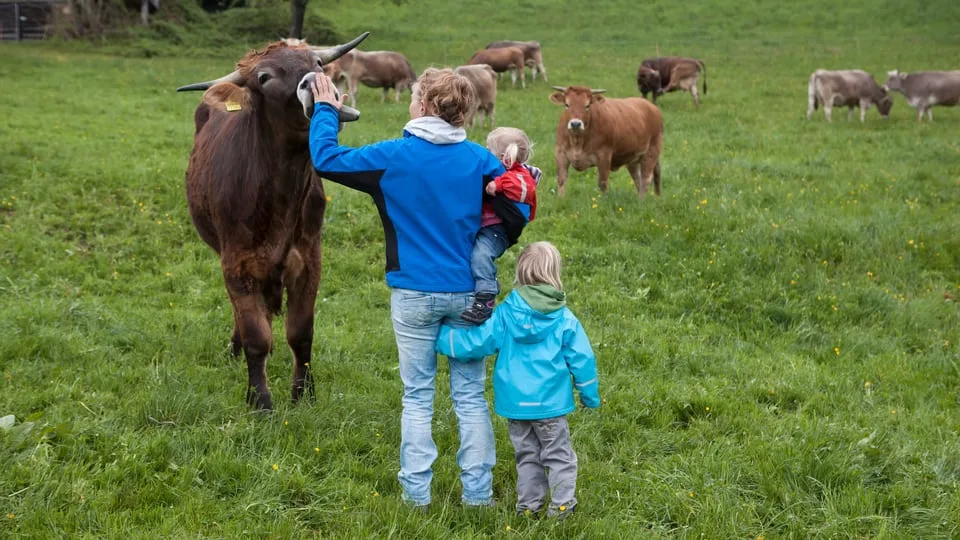 9a89f948031efadfe7dee68d19820fbda972b422 Die Familie Kathriner lebt heute auf einem Lebenshof. (Bild Miriam Künzli / SRF)