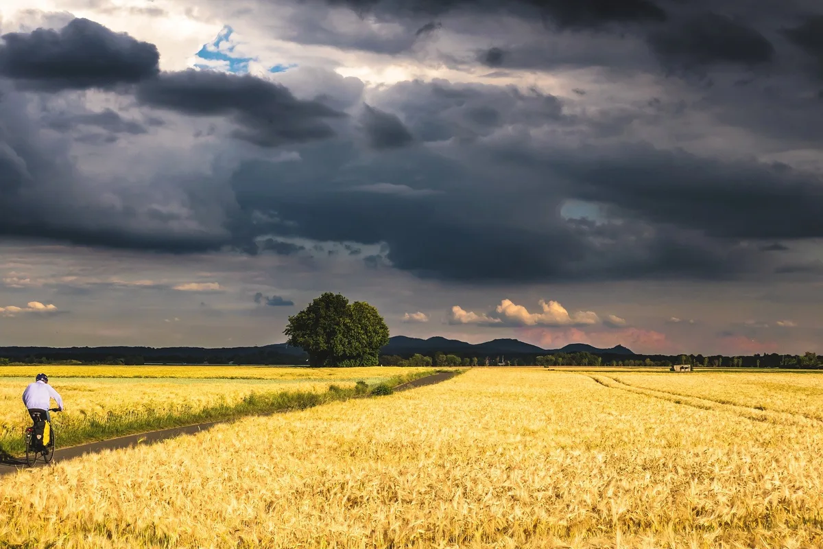 sturm-u__ber-feld Syngenta wächst stark dank Produkten für die Regenerative Landwirtschaft