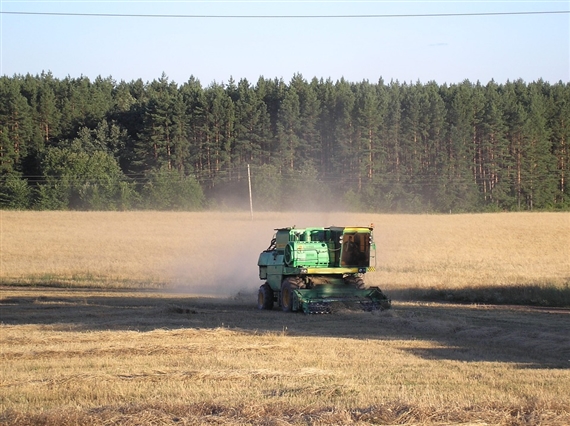 Getreideernte in Russland. (Bild Pixabay)