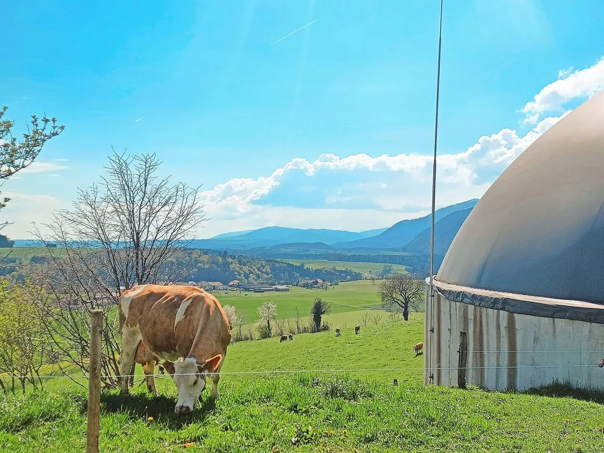 Neue Biogasprojekte können sich über stabile Preise freuen. Bestehende Anlagen sind wirtschaftlich gefährdet, wenn der KEV-Vertrag ausläuft.