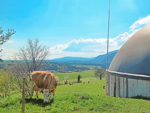 Neue Biogasprojekte können sich über stabile Preise freuen. Bestehende Anlagen sind wirtschaftlich gefährdet, wenn der KEV-Vertrag ausläuft.