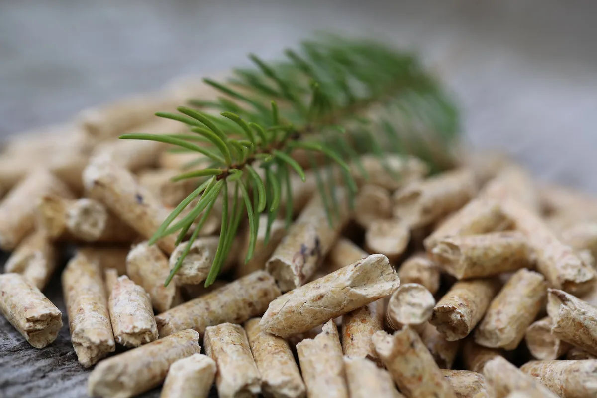 Pellets Verkauf von Pelletheizungen um 20 Prozent gestiegen – Inlandanteil des Holzes steigend