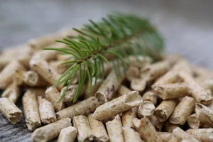 Im vergangenen Jahr wurden rund 100'000 Tonnen Pellets importiert.