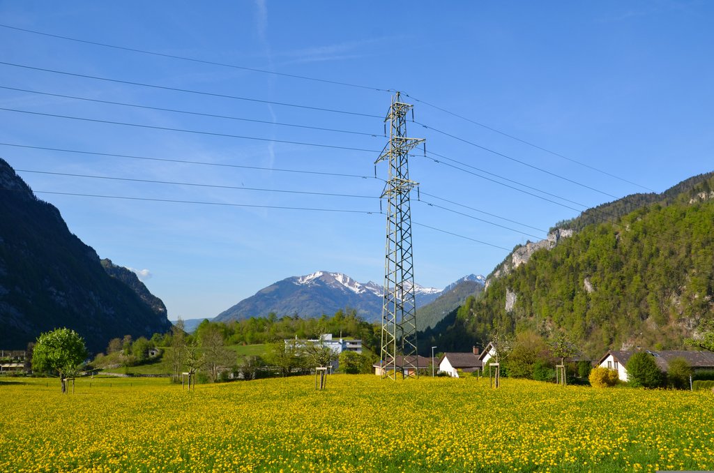 Ausbau erneuerbarer Energien kann Stromnetz überfordern