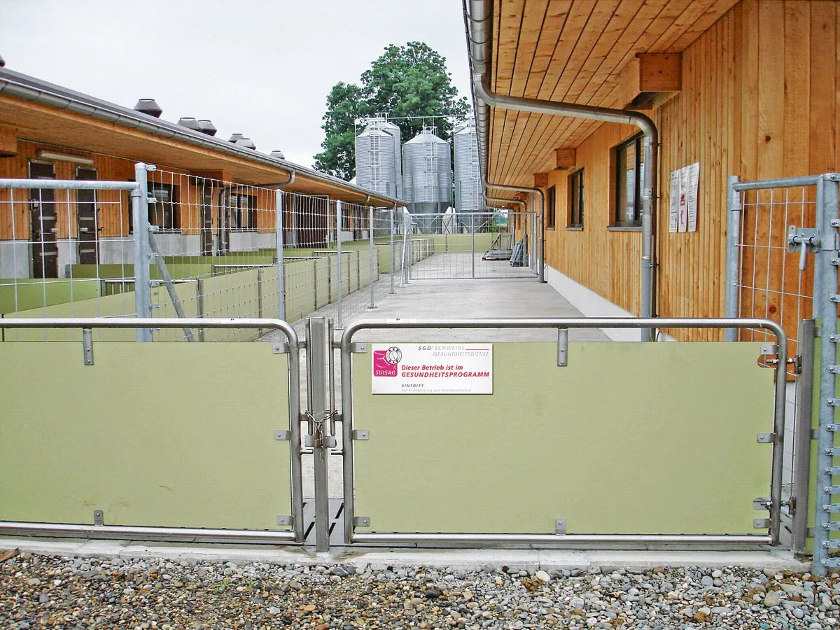 3c21fe53fb31428783332f22cdf71728e989c9d5 Schweizer Schweinehalter haben nichts zu verbergen. Trotzdem haben Unbefugte im Stall nichts zu suchen – aus sanitarischer, aber auch aus der Sicht des Tierschutzes.(Bild Suisag)