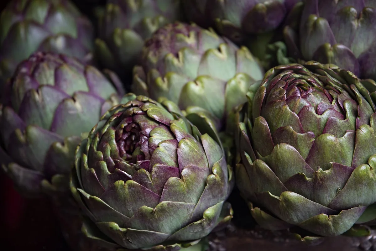 Artischocke: Schweizer Nischen-Powerfood