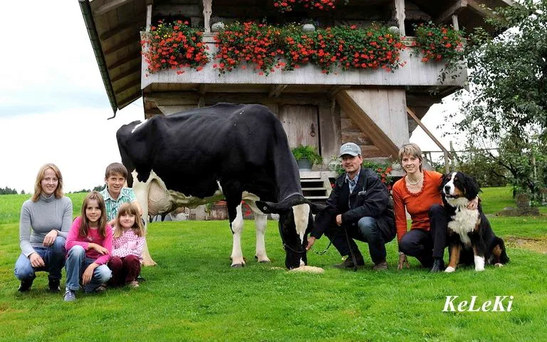 548e8dc99f69490db48cdc9ae914263bc2a8c64e Haiti mit ihrer stolzen Besitzerfamilie: Sie steht im Stall von Markus Wyss aus Grasswil BE. (Bild KeLeKi)