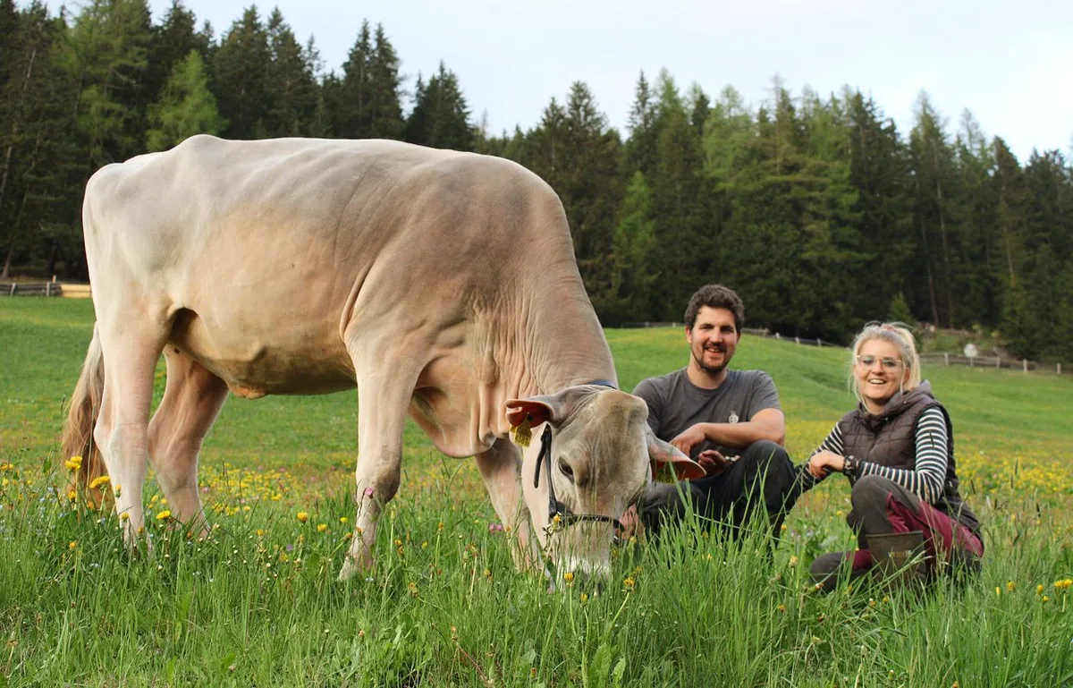 deflorin_tuefer Jann Deflorin und Aline Tüfer möchten der Landwirtschaft mit einem eigenen Betrieb treu bleiben