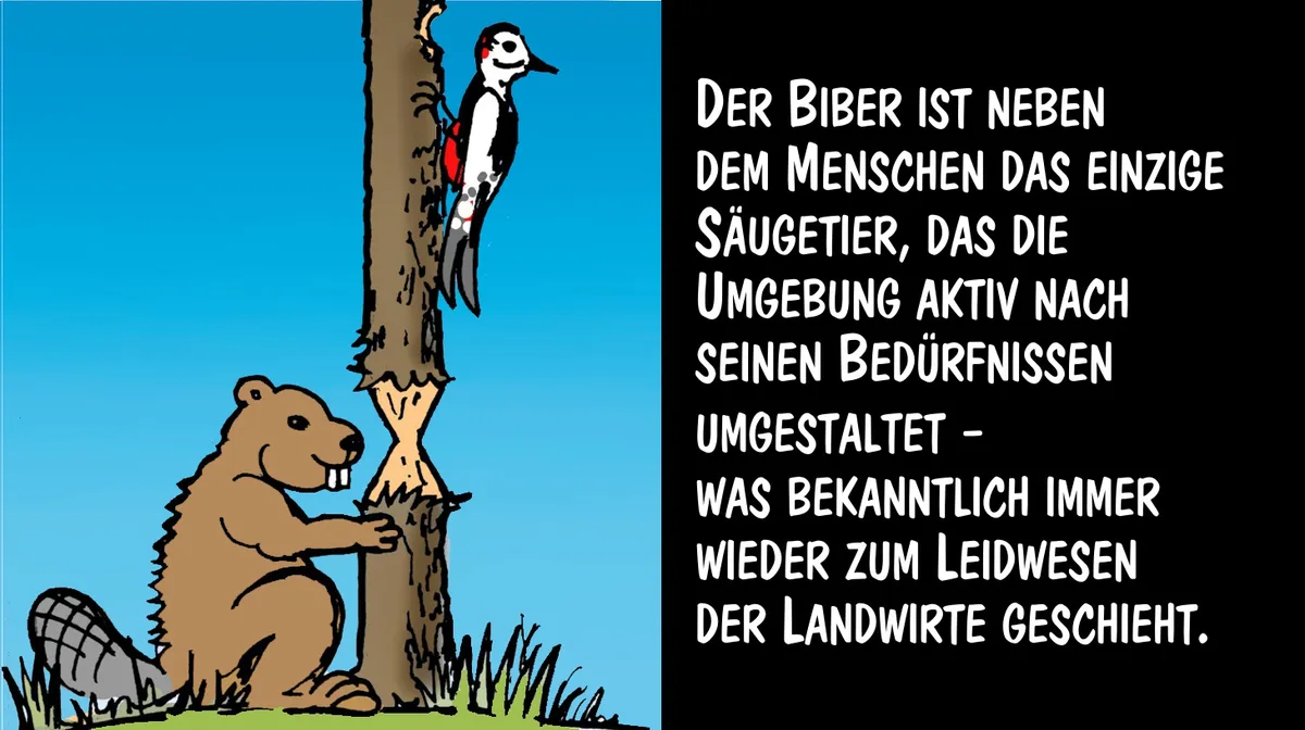 88e98c141ad12b167a27cbf4abe1d7030451c283 Der Biber gestaltet seine Umgebung aktiv nach seinen Bedürfnisse. Cartoon: Marco Ratschiller/Karma