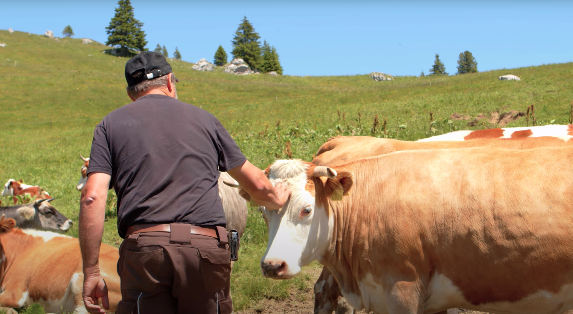 Eine Hommage an die Schweizer Landwirtschaft