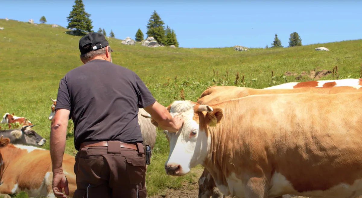 Eine Hommage an die Schweizer Landwirtschaft