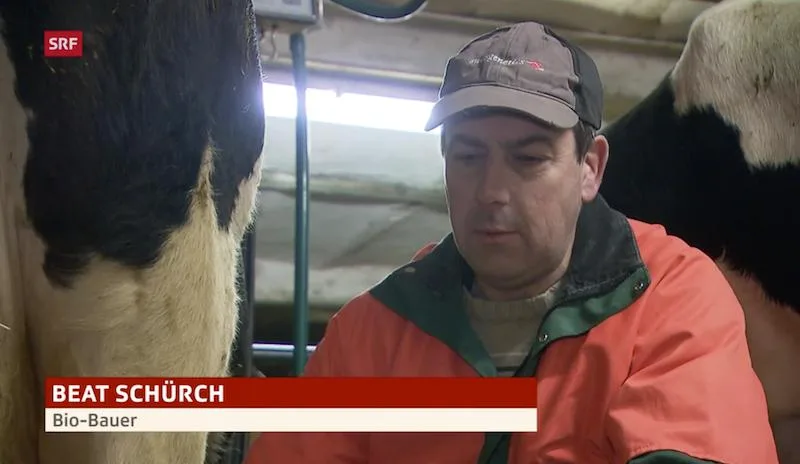 e281d8713173a60416454fe9450452d30f6874a0 Beat und Gabi Schürch stellen auf Bio um. (Screenshot SRF)
