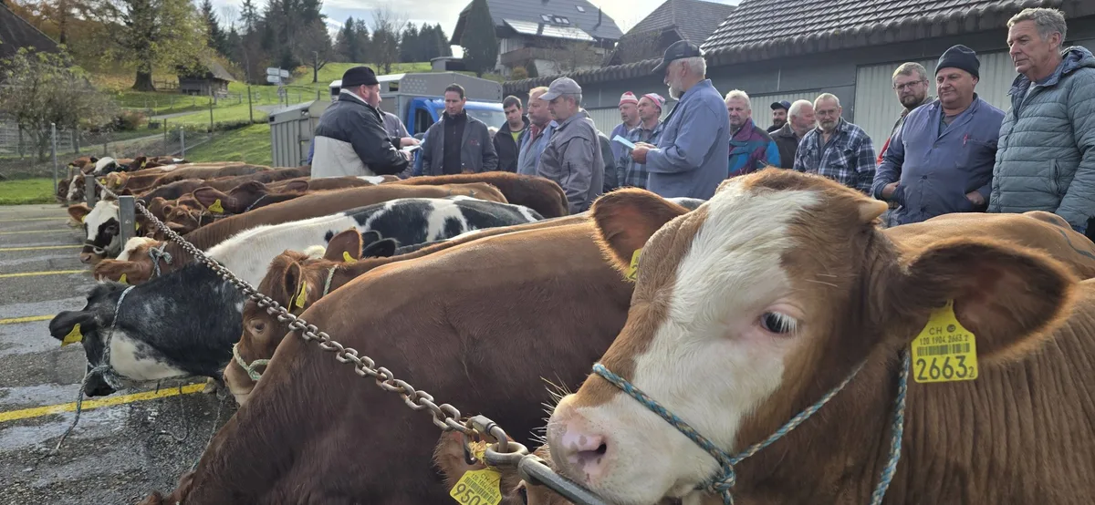 eggwilBild_1 Kälbermarkt in Eggiwil: Sind die Mäster bald eine aussterbende Gattung?