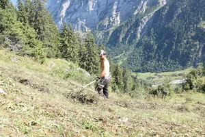 Auch die Nutzung von Wildheuerflächen wird mit den LQB gefördert. (Bild jba)
