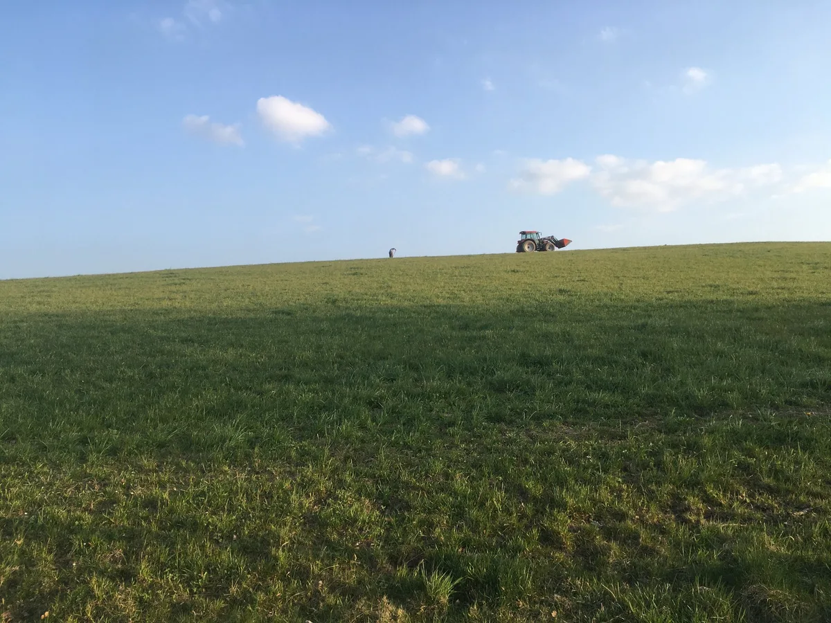 BZ-AKT3-31-Lenkung-titel Reizwort Lenkungsabgabe: Was ist das überhaupt?
