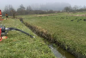 Die Feuerwehr pumpt mit Gülle verschmutztes Wasser aus dem Stigegrabe ab. (Bilder Luzerner Polizei)