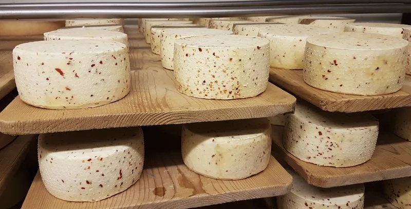 5d22d66875b8c314e0ca0dff81fd76d2853aed38 Neben dem Schweizer Käse stieg auch der Konsum von ausländischer Ware an. (Bild ji)