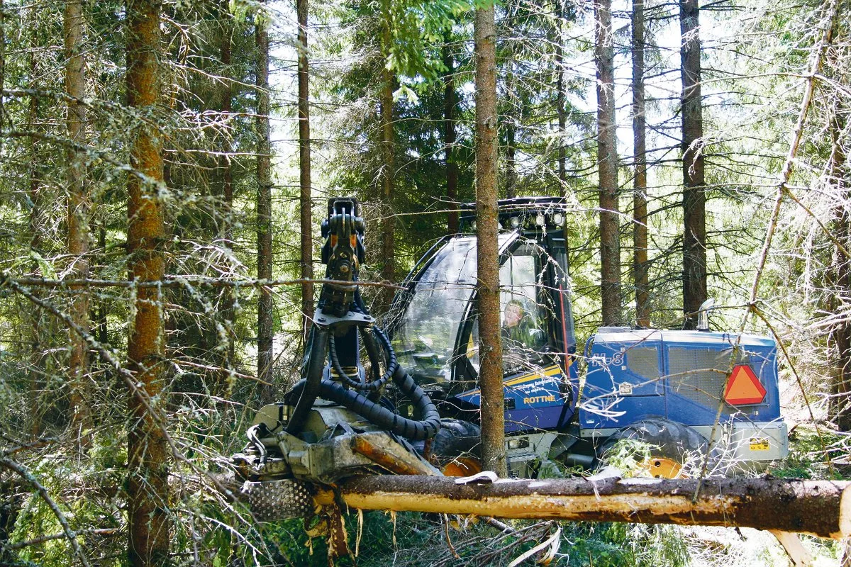 26b9b0b8026d2bf27f82d4ee02d690f7c9b3f52c Das Angebot an frischem Nadel-Sägerundholz ist aktuell in weiten Teilen der Schweiz ausreichend,(Bild Hans Rüssli)