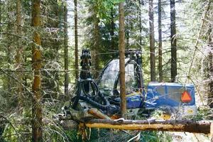 Das Angebot an frischem Nadel-Sägerundholz ist aktuell in weiten Teilen der Schweiz ausreichend,(Bild Hans Rüssli)