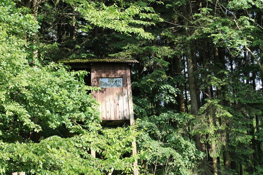«Die Wildhüter werden nicht ausreichen, um die Wölfe unter Kontrolle zu bringen»