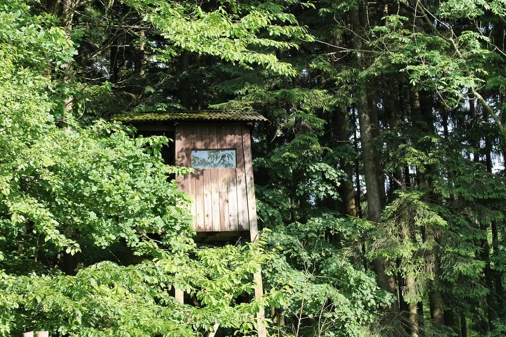 «Die Wildhüter werden nicht ausreichen, um die Wölfe unter Kontrolle zu bringen»