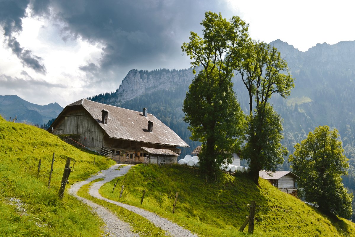 Wird ein Bauernhof verkauft, kann unter Umständen ein grosser Gewinn erzielt werden. Diesen möchte man aber nicht gleich zur Hälfte wieder dem Steueramt abgeben(Bild Peter Fankhauser)