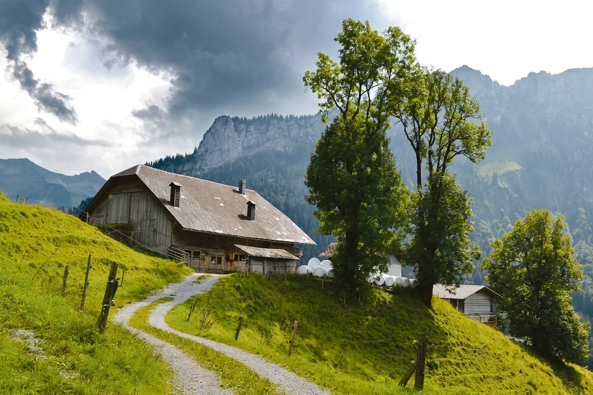 Wird ein Bauernhof verkauft, kann unter Umständen ein grosser Gewinn erzielt werden. Diesen möchte man aber nicht gleich zur Hälfte wieder dem Steueramt abgeben(Bild Peter Fankhauser)