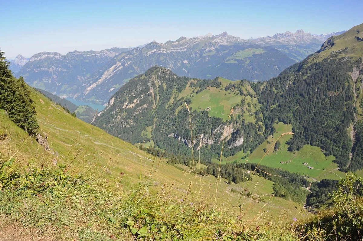 Fortschritte beim Herdenschutz, trotzdem bleibt die Situation auf den Urner Kleinalpen schwierig
