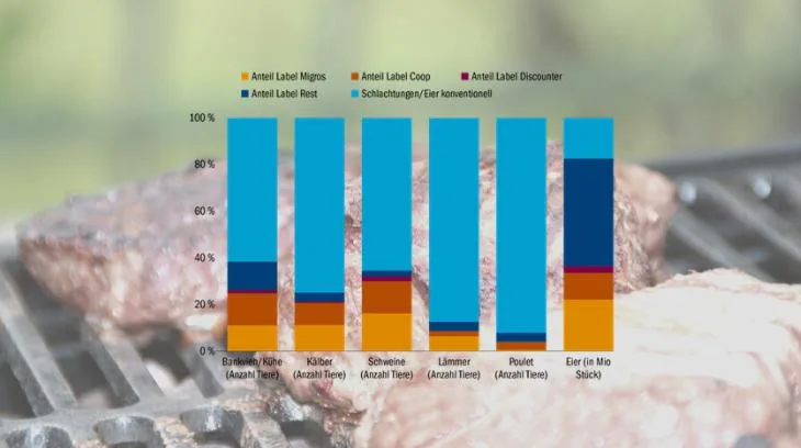 cc39db82d56b909397dc30e4f5453766d73928e1 Übersicht über die Labelanteile bei Fleisch und Eiern bei den einzelnen Detailhändlern in Prozent am Total. (Quelle STS mit Zahlen von BLW und SBV und aus eigenen Umfragen, Grafik Matthieu Induni/BauZ)