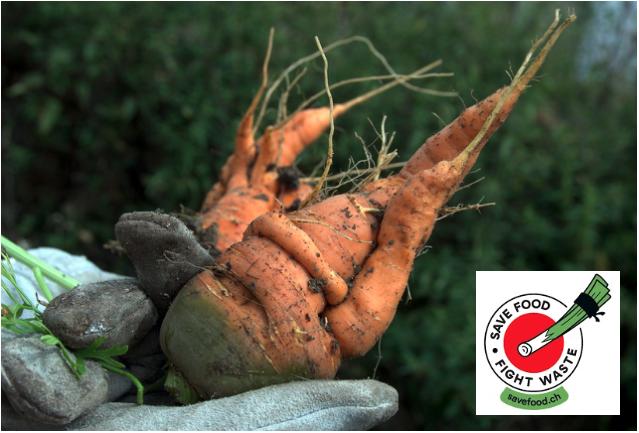 Mit Infomaterial und entsprechenden Klebern sollen Konsumenten zum Kauf von Produkten zweiter und dritter Klasse angeregt werden, um Food waste zu verhindern. (Bild Pixabay / jsc)