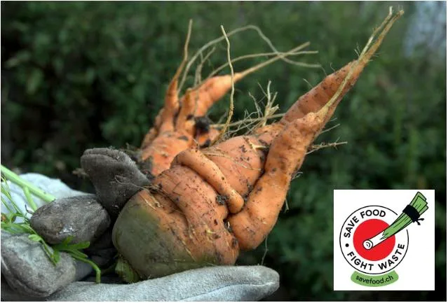 Mit Infomaterial und entsprechenden Klebern sollen Konsumenten zum Kauf von Produkten zweiter und dritter Klasse angeregt werden, um Food waste zu verhindern. (Bild Pixabay / jsc)