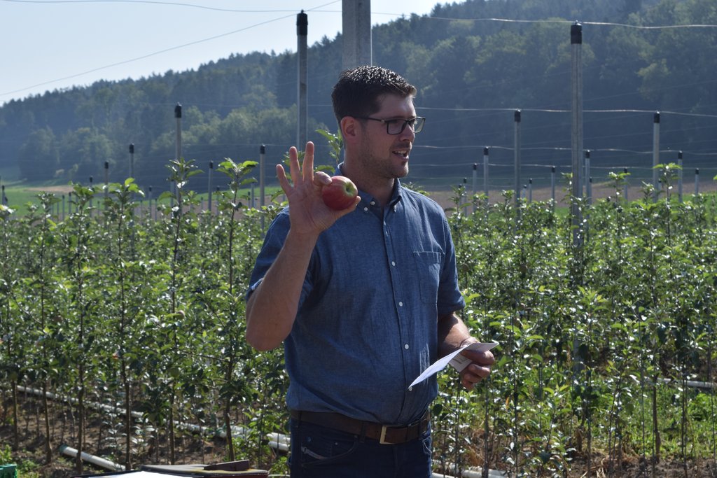 «Das letzte Wort zwischen Obstbranche und BLW ist noch nicht gesprochen»